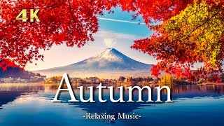 【4K】絶景・秋の美しい紅葉｜日本&ヨーロッパ｜リラックス音楽と森の自然音｜Autumn Forest