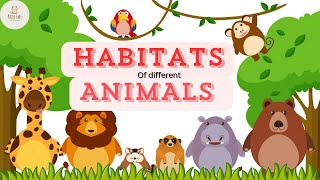 Habitats of Different Animals 🐻🦁🦓| Where Animals Live? ( grade 1 & grade 2)