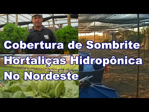 Cobertura de Sombrite para plantio Hidropônico