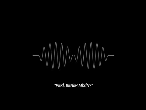 arctic monkeys - R U Mine [türkçe çeviri]