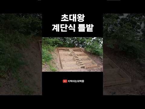 뒤지게 힘들다..