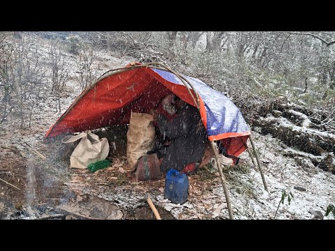 Himalayan village life___Dolpa Nepal yarsagumba hunter village food cooking real village life nepal