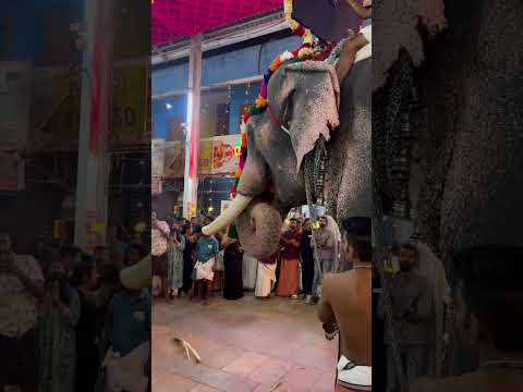 Majestic Elephant Procession at Triprayar Temple 🛕