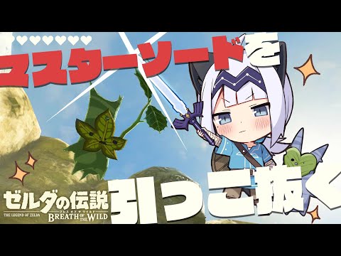 【ゲーム配信】ティアキンクリアしたのでもう一回ブレワイを旅したい！#07【BotW】