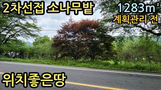 (매물번호13417) 청양부동산 1283㎡(388) 청양땅 청양군토지매매매물 시골땅 촌땅 귀농귀촌 주말농장 전원주택지 예산땅 공주시땅 세종시부동산 부여부동산 보령시토지