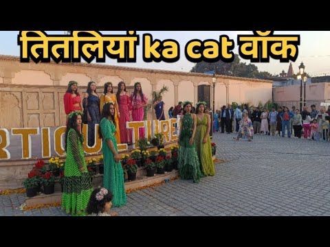 तितलियां ka cat वॉक