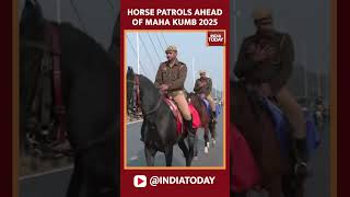 Maha Kumbh Mela 2025: Prayagraj Police Use Horses For Patrolling Ahead Of Maha Kumbh Mela 2025