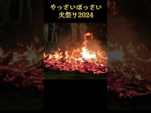 『やっさいほっさい 2024』 師走の堺市で激熱🔥火祭り /石津太神社