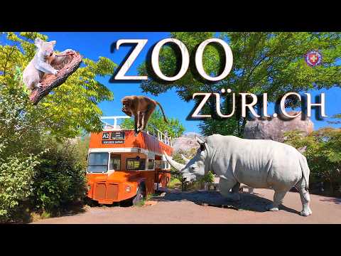 ZURICH ZOO SWITZERLAND ✨ Touch world`s nature ! Summer Walking tour 4K HDR