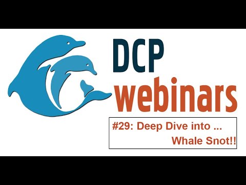 DCP Deep Dive: Learning from Whale Snot