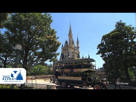 【公式】オムニバス / Omnibus | 東京ディズニーランド/Tokyo Disneyland