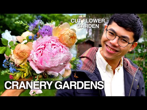 Important Questions Before You Start a Cut Flower Garden, January Garden Tour 2024