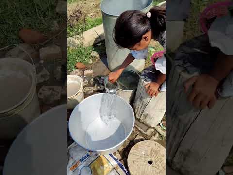 How organic Holi colours are made from Palash flowers  🌺🌺