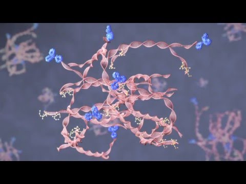 Genisphere - 3DNA Medical Animation