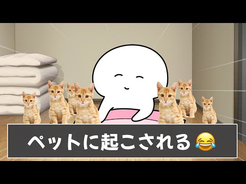 みんなのペット飼ってる人あるあるが共感しすぎたんですがｗｗｗ【ツッコミ】【あるある】