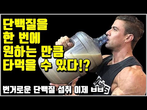 단백질 섭취엔 상한이 없다!? 단백질 섭취 최신 논문