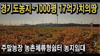 경기도땅 농지 1000평 17억가치 귀농귀촌 주말영농체험 앞마당텃밭 주말농장 농촌체류형쉼터 전원주택 농지연금 농지임대 스마트팜 경매땅공매땅