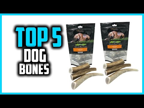 ✅Top 5 Best Dog Bones in 2025