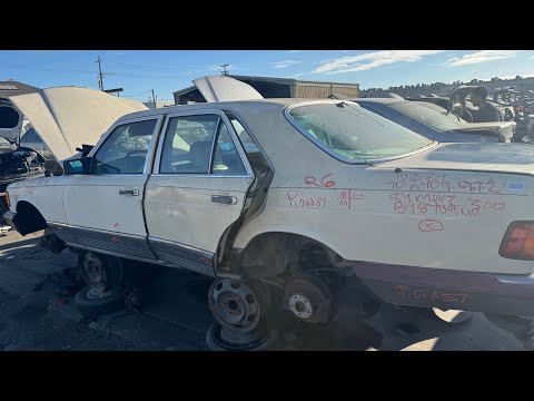 1987 Mercedes-Benz W126 at Junkyard