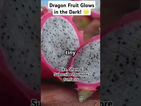 Dragon Fruit Glows in the Dark! 🌟 #superfood #facts #superfoodsecrets #fruit #yellowdragonfruit