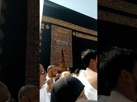 #kaba#makkah#ytshorts #youtubeshorts #viralvideo #religion #saudiarabia #viralshorts2024#airport