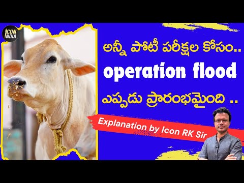 Operation Flood – India’s White Revolution | Explained by Icon RK Sir | Icon India