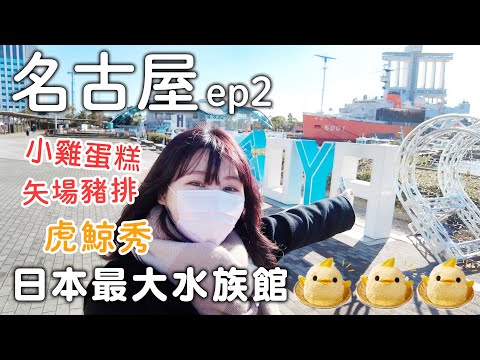 名古屋自由行｜日本最大水族館|必吃小雞蛋糕|矢場豬排|sugakiya壽賀喜屋拉麵童年回憶｜日本旅遊vlog。生活日常。一人自由行景點美食推薦