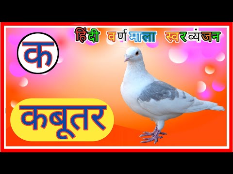 ka se kabutar kha se khargosh / क से कबूरतर ख से खरगोश / हिंदी वर्णमाला स्वरव्यंजन @Nursery Classes