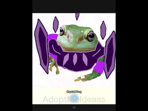 Frog event in adopt me?!