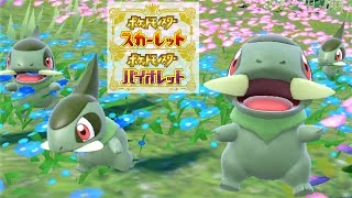 【可愛い】キバゴ６匹に囲まれて癒されピクニック【ポケモンSV】