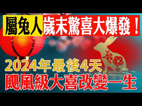 生肖兔準備大哭一場吧！2024年最後4天，颱風級大喜或將改變你的一生！2024年末驚喜大爆發！生肖兔，準備好迎接改變命運的颶風級喜悅！【佛語】#運勢 #風水 #佛教 #生肖 #佛語