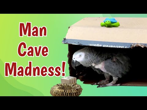 Einstein’s Man Cave Madness!