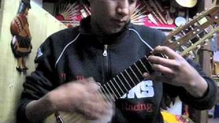 Fantastic Charango Playing in La Paz, Bolivia in Local Music Store