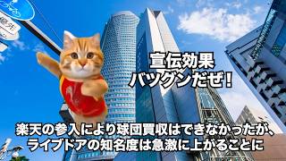 【ライブドア事件】ライブドアグループの栄光と没落 #猫マニ #猫ミーム