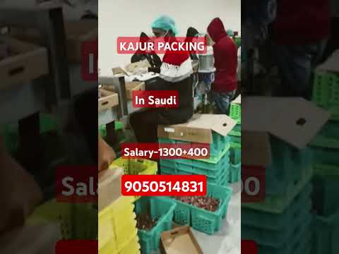 saudi jobs | packing job in saudi| gulf jobs | eraning in gulf | dubai work #saudiart #almarai