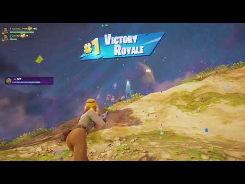 Fortnite Win