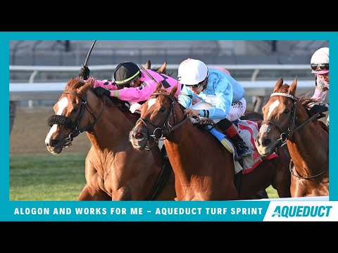 Alogon & Works For Me - 2024 - DEAD HEAT in the Aqueduct Turf Sprint