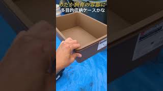 メダカ飼育容器について。セリアかダイソーか？？　 #めだか #メダカ #アクアリウム