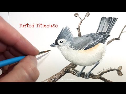 How to Paint Birds in Watercolors