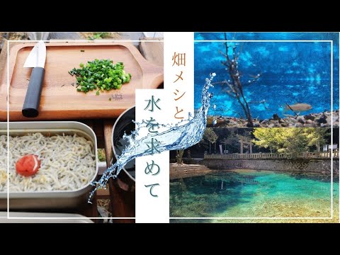 [Hatake-Meshi] Making Shirasu Rice with a Mess Tin and Seeking Water at Beppu Benten Pond