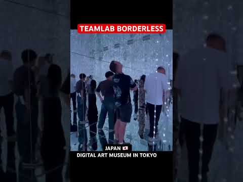 Amazing Experience at TeamLab Borderless #tokyo #digitalartmuseum #japan #viralshorts #viralvideo