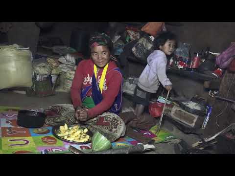 Traditional village life || Daily village activities