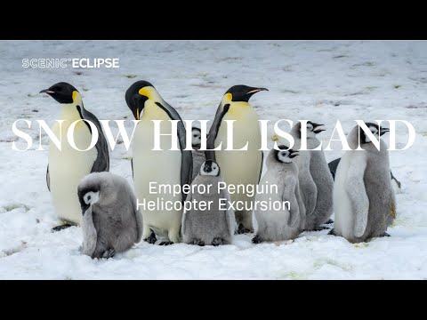 Scenic Eclipse | Snow Hill Island Antarctica | Emperor penguins