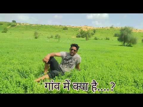 Gov | New Vlog | गांव में तेज बारिश से घर तक आई नदी