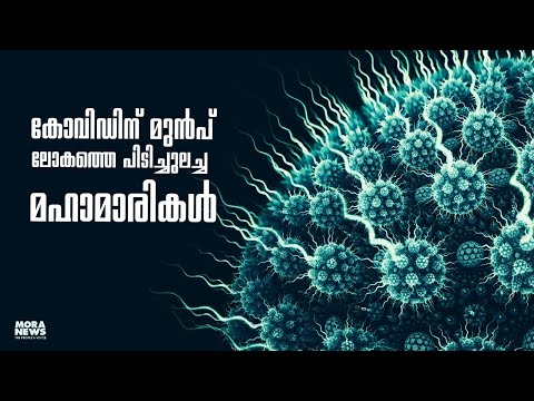 കോവിഡിന് മുൻപ് ലോകത്തെ പിടിച്ചുലച്ച മഹാമാരികൾ