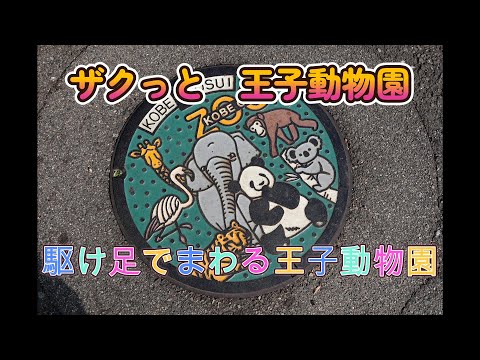 ザクっと王子動物園　駆け足でまわる王子動物園（Oji Zoo in Kobe Japan）