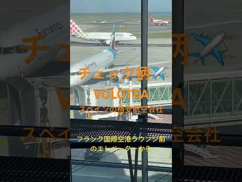 チェック柄✈️ VOLOTEA