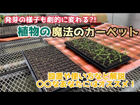 【資材】農電園芸マット＆農電デジタルサーモ 使い方を徹底解説！