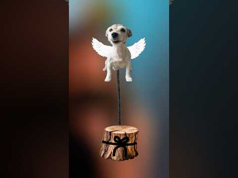 “What would you do if your dog could fly”