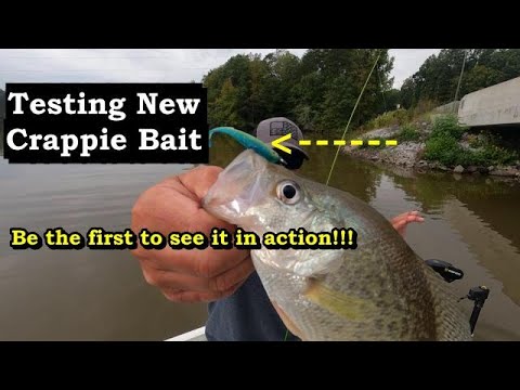 Don't Miss Out! Testing New Fall Crappie Bait